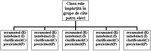 Organization Chart