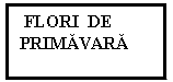 Text Box:  FLORI  DE  PRIMAVARA