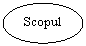 Oval: Scopul