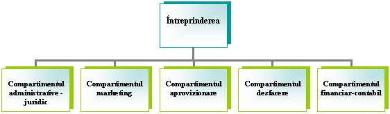 Organization Chart