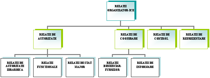 Organization Chart