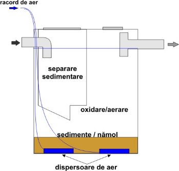 fosa cu sedimente active