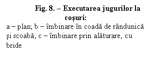 Text Box: Fig. 8.  Executarea jugurilor la cosuri:
a  plan; b  mbinare n coada de rndunica si scoaba; c  mbinare prin alaturare, cu bride
