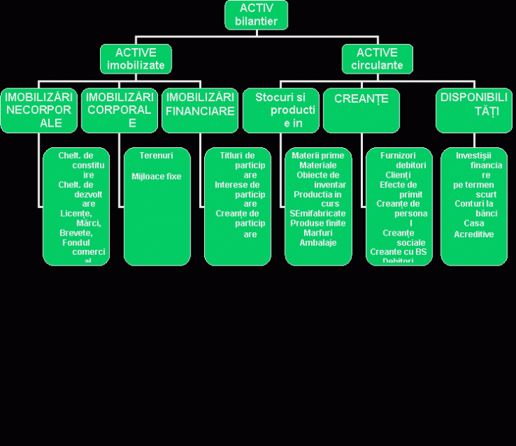 Organization Chart