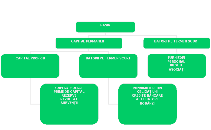 Organization Chart