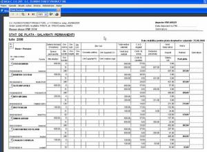 Caiet De Practica Contabilitate Si Informatica De Gestiune