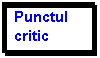 Text Box: Punctul critic