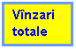 Text Box: Vinzari totale