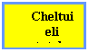 Text Box: Cheltuieli totale