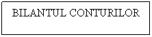 Text Box: BILANTUL CONTURILOR