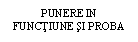 Text Box: PUNERE IN FUNCTIUNE SI PROBA