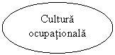 Oval: Cultura ocupationala
