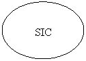 Oval: SIC
