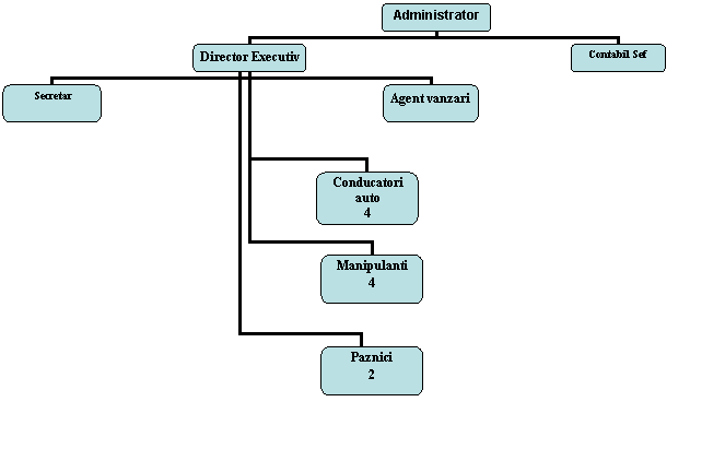 Organization Chart