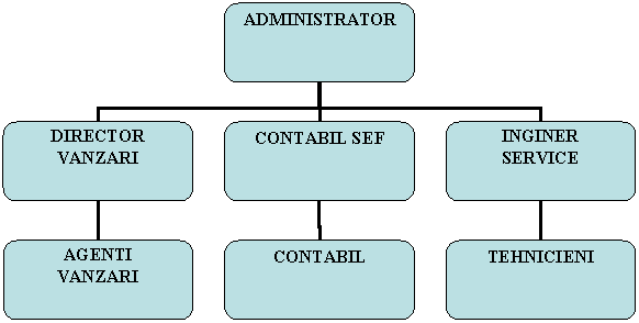 Organization Chart