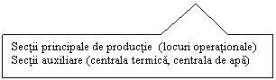 Rectangular Callout: Sectii principale de productie (locuri operationale)
Sectii auxiliare (centrala termica, centrala de apa)

