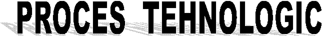 PROCES TEHNOLOGIC