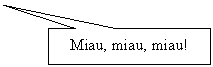 Rectangular Callout: Miau, miau, miau!