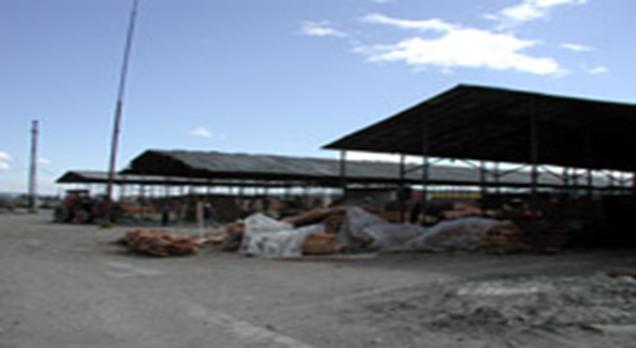 Intreprindere industrializarea lemnului Targu Trotus