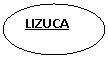 Oval: LIZUCA