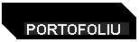 Text Box: PORTOFOLIU