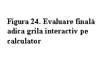 Text Box: Figura 24. Evaluare finala adica grila interactiv pe calculator