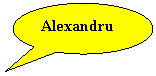 Oval Callout: Alexandru