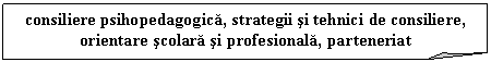 Folded Corner: consiliere psihopedagogica, strategii si tehnici de consiliere, orientare scolara si profesionala, parteneriat 