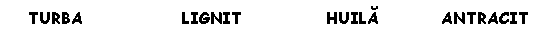 Text Box: TURBA LIGNIT HUILA ANTRACIT