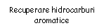 Text Box: Recuperare hidrocarburi aromatice