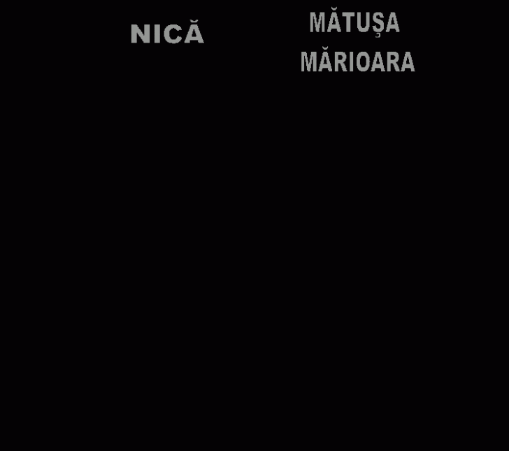 NICA,MATUSA 
MARIOARA