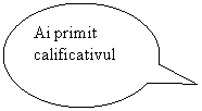 Oval Callout: Ai primit calificativul