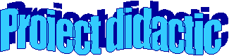 Proiect didactic