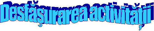 Desfasurarea activitatii