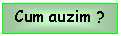 Text Box: Cum auzim ?
