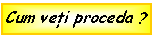 Text Box: Cum veti proceda ? 
