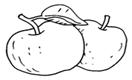 pomme02