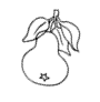 poire01