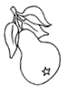 poire01