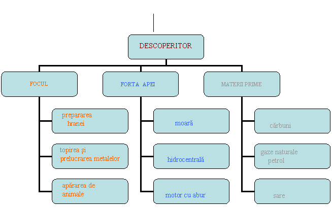 Organization Chart