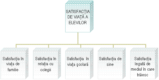 Organization Chart