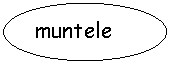 Oval: muntele
