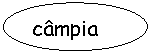 Oval: campia