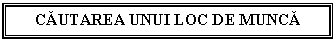 Text Box: CAUTAREA UNUI LOC DE MUNCA