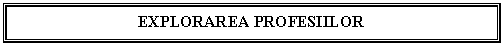 Text Box: EXPLORAREA PROFESIILOR
