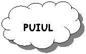 Reserved: PUIUL
