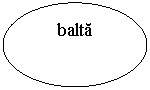 Oval: balta