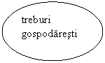 Oval: treburi gospodaresti