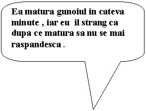 Rounded Rectangular Callout: Ea matura gunoiul in cateva minute , iar eu  il strang ca dupa ce matura sa nu se mai raspandesca .