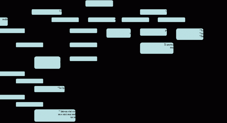 Organization Chart